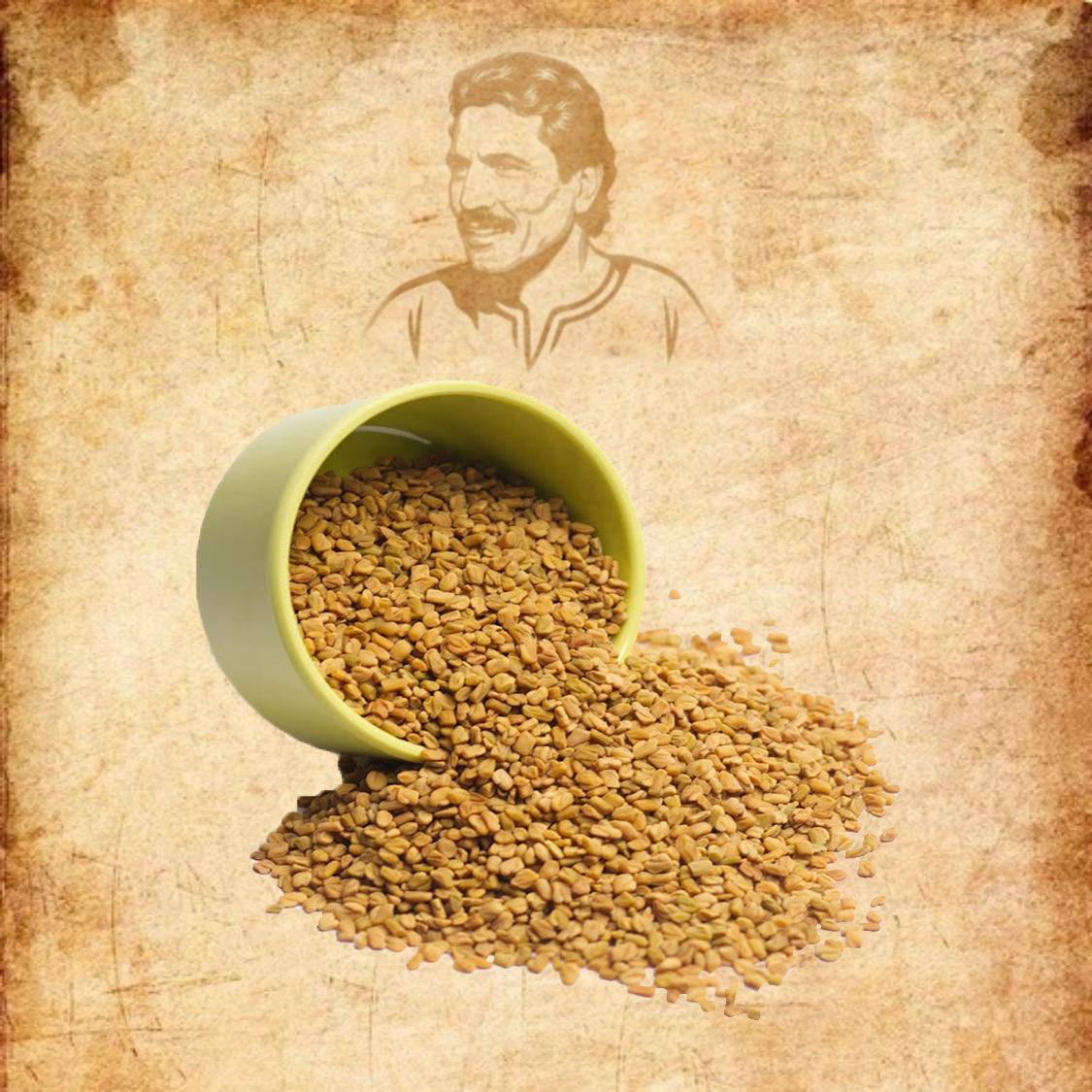 10 Whole fenugreek seeds - Image 1