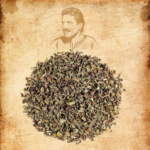 Basil Leaves Organic Culinary Herb