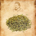 يانسون حصي